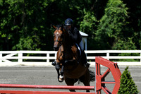 HSM_0785