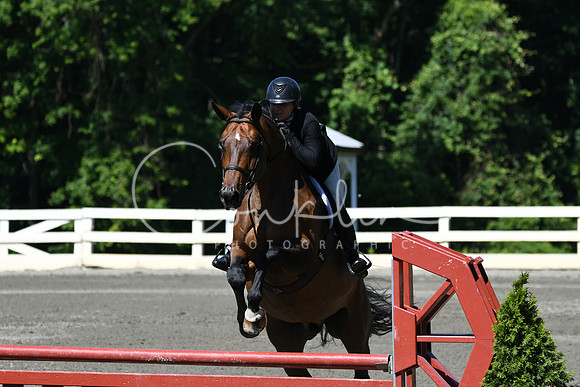 HSM_0785