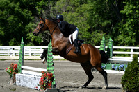 HSM_0809