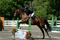 HSM_0810