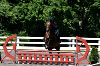 HSM_0811