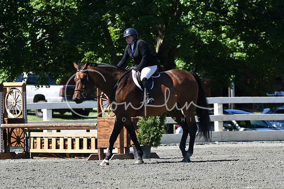 HSM_0819