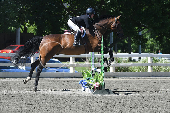 HSM_0843