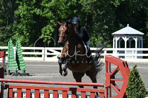 HSM_0848