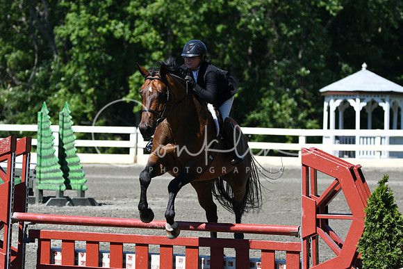HSM_0849