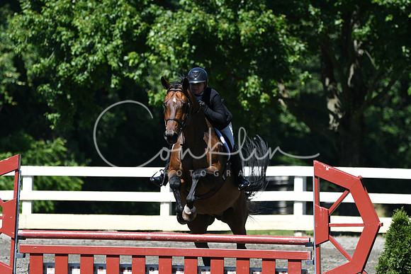 HSM_0857