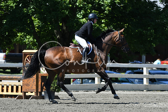 HSM_0860