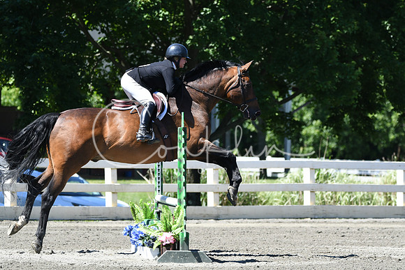 HSM_0863