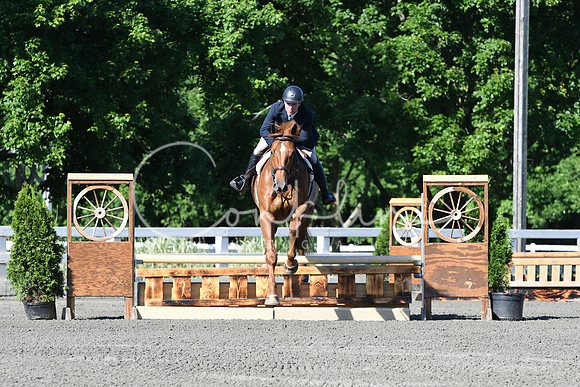 HSM_0369