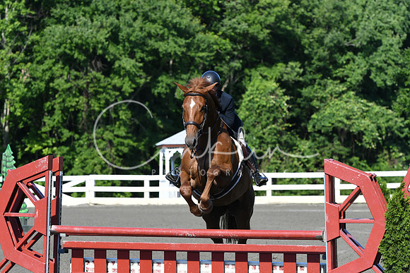 HSM_0377