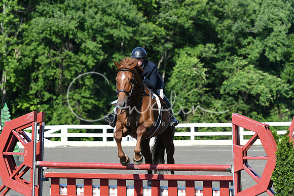 HSM_0378