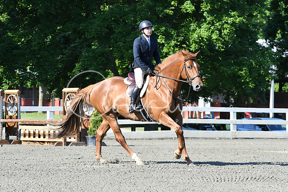 HSM_0381