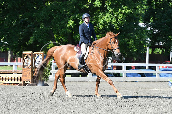 HSM_0382
