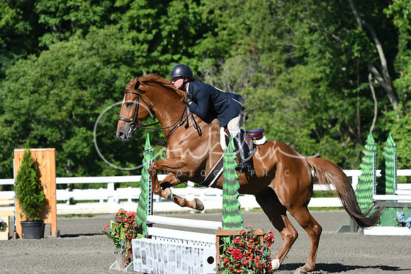 HSM_0440