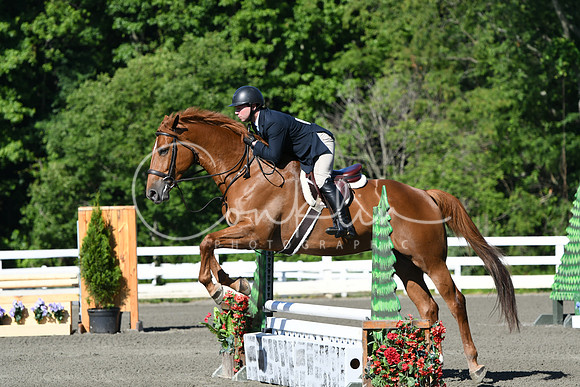 HSM_0441