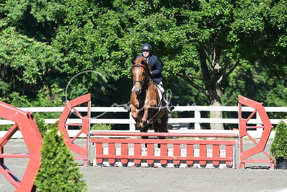 HSM_0442