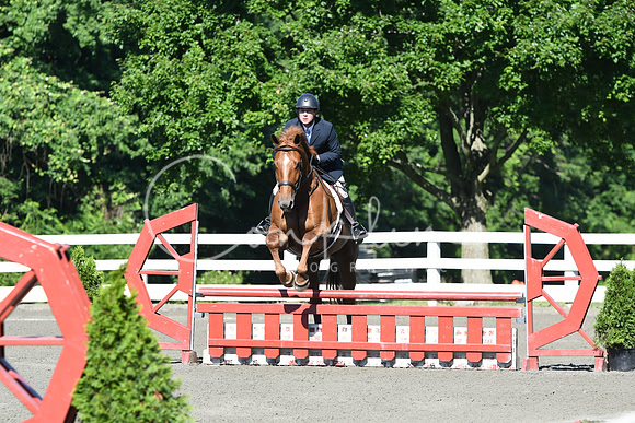 HSM_0443