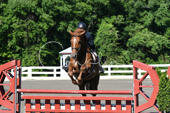 HSM_0444