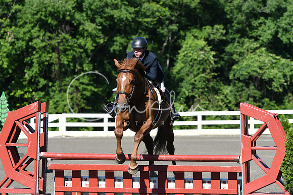 HSM_0445