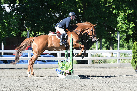 HSM_0446