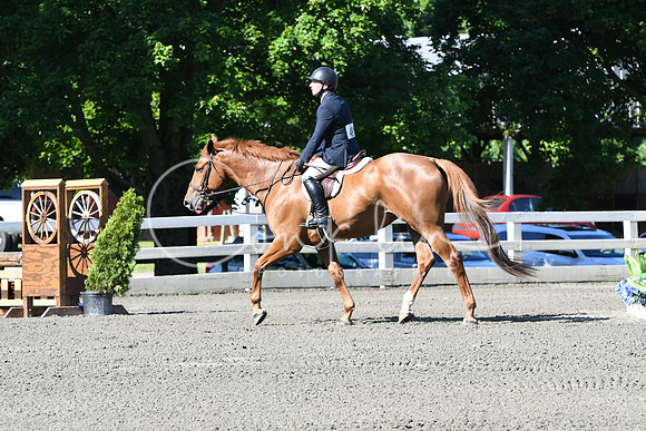 HSM_0450