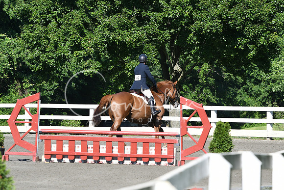 HSM_0497