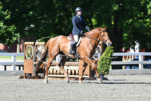 HSM_0509