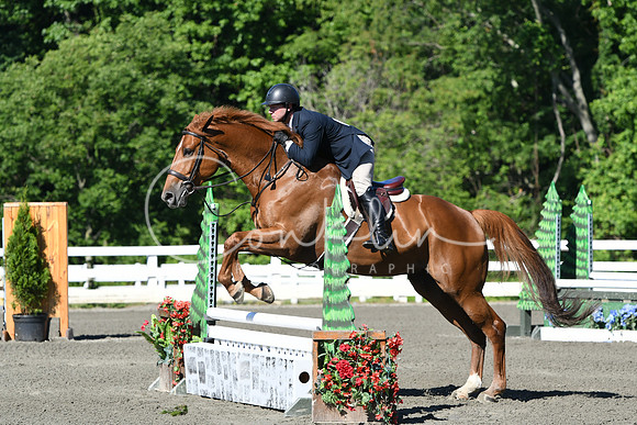 HSM_0532
