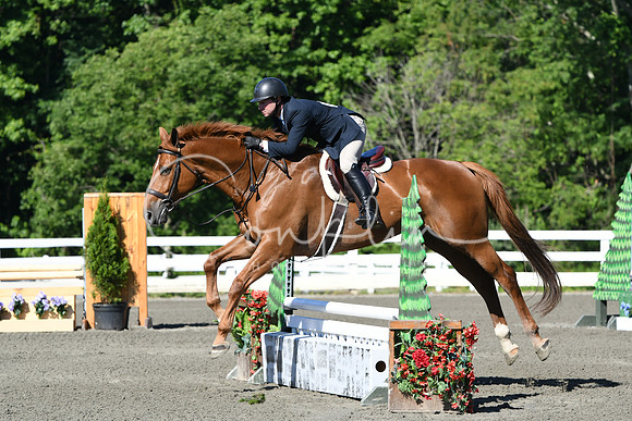 HSM_0533