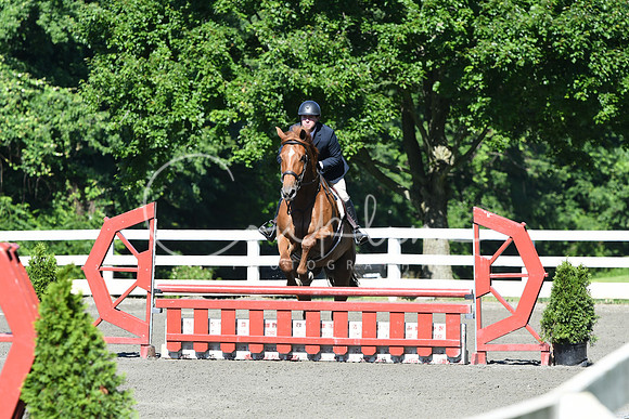 HSM_0536