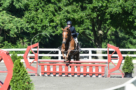 HSM_0537