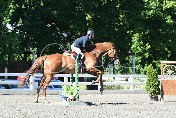 HSM_0541