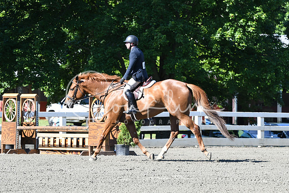 HSM_0550