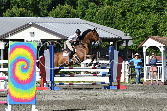 HSM_2033