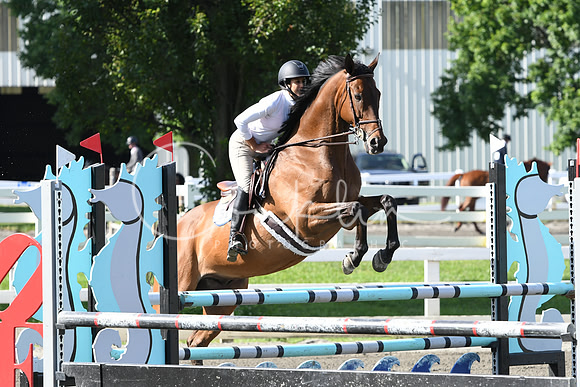 HSM_2043