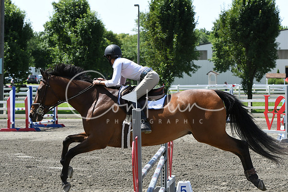 HSM_2419