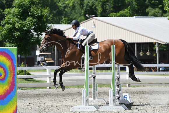 HSM_2578