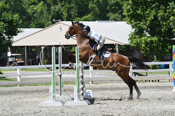 HSM_2589