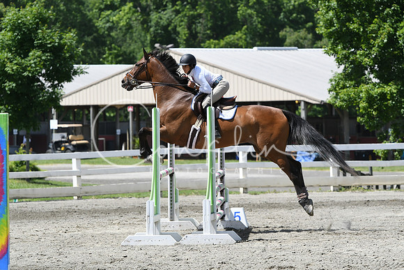 HSM_2590