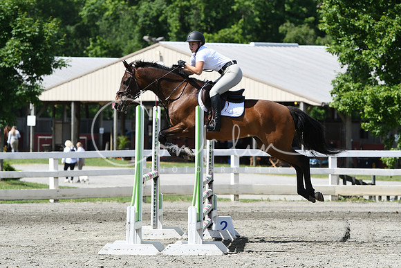 HSM_2462