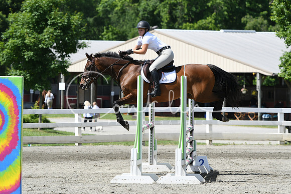 HSM_2463