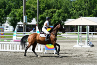 HSM_2464