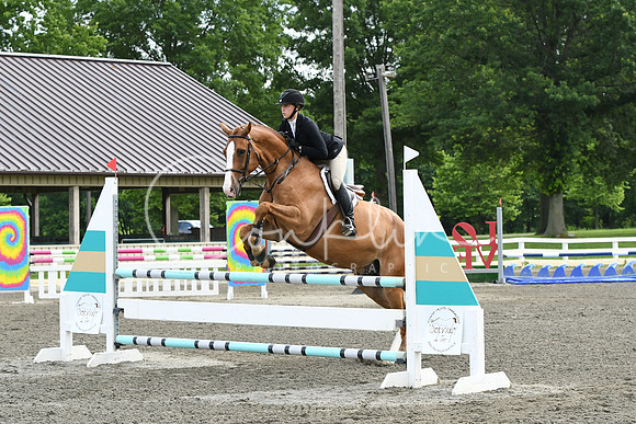 HSM_4259