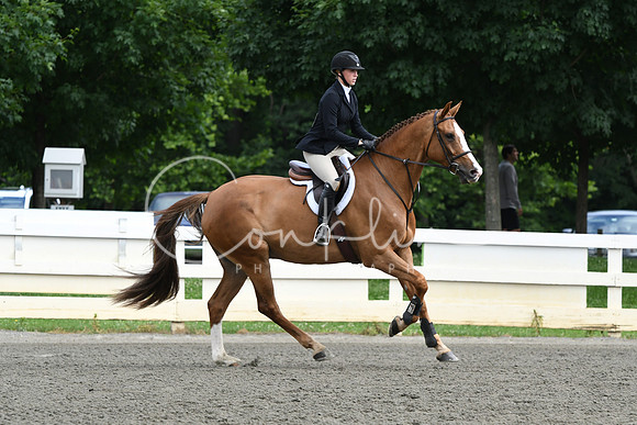 HSM_4262