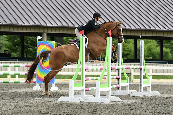 HSM_4264