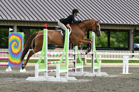 HSM_4265