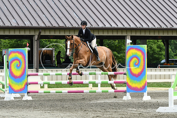 HSM_4267