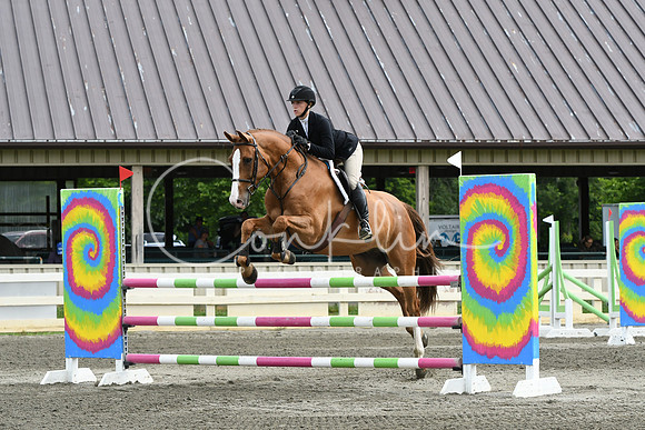 HSM_4268