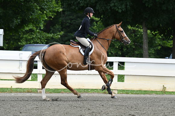 HSM_4270