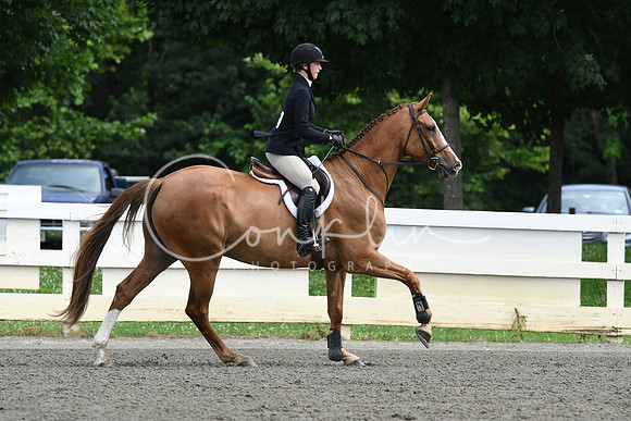 HSM_4271